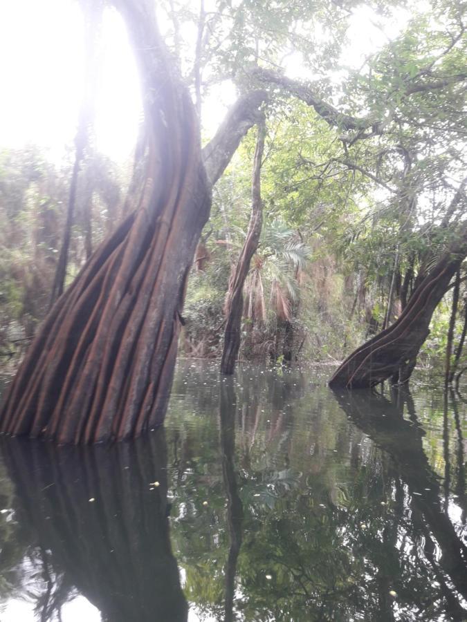 Botos De Alter